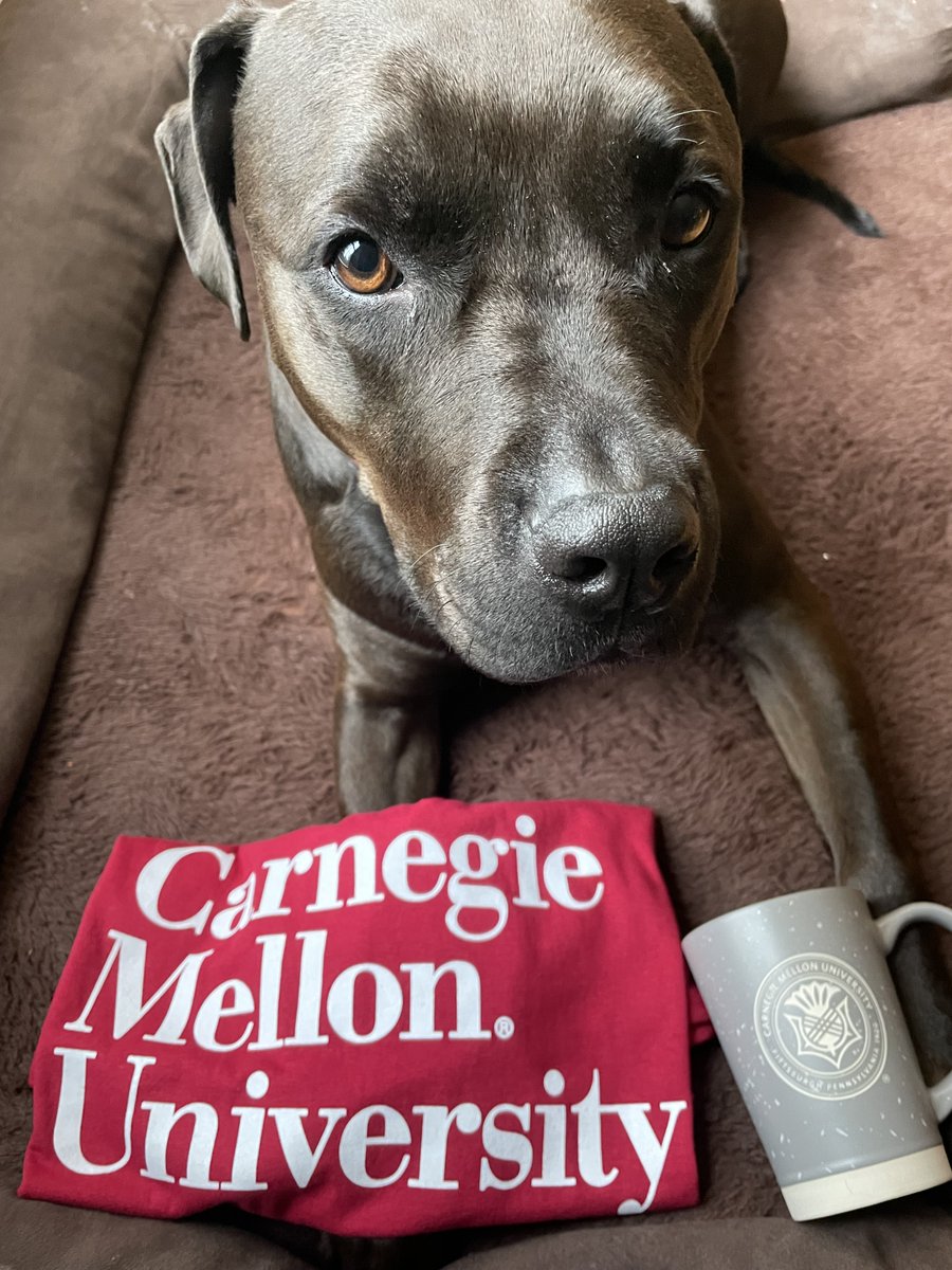 Akshitha Sriraman (@akshithasriram1) on Twitter photo 📢 I'm SUPER THRILLED to announce that I will start as an Assistant Professor <a href="/CarnegieMellon/">Carnegie Mellon University</a> after my PhD!! Please apply to work with me if you'd like to build the data center of the future. (Photo features Po who is very excited about moving to the Burgh. 🐶)
<a href="/CMU_ECE/">Carnegie Mellon ECE</a> <a href="/SCSatCMU/">CMU School of Computer Science</a> 📢 I'm SUPER THRILLED to announce that I will start as an Assistant Professor <a href="/CarnegieMellon/">Carnegie Mellon University</a> after my PhD!! Please apply to work with me if you'd like to build the data center of the future. (Photo features Po who is very excited about moving to the Burgh. 🐶)
<a href="/CMU_ECE/">Carnegie Mellon ECE</a> <a href="/SCSatCMU/">CMU School of Computer Science</a>