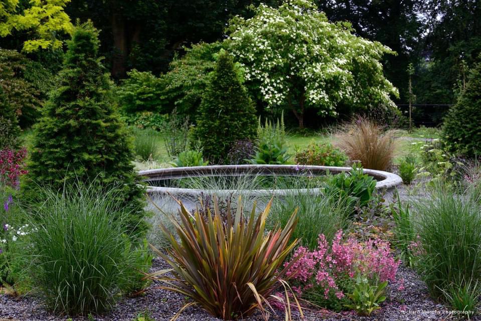 dynamicsoflight's tweet photo. It's been a busy week of photography! Managed a very quick detour to visit Des Doyle to capture the gravel garden which is looking particularly nice at this stage of the year #drygarden #drygardening #gardenfable https://t.co/9E5UKAn1YH