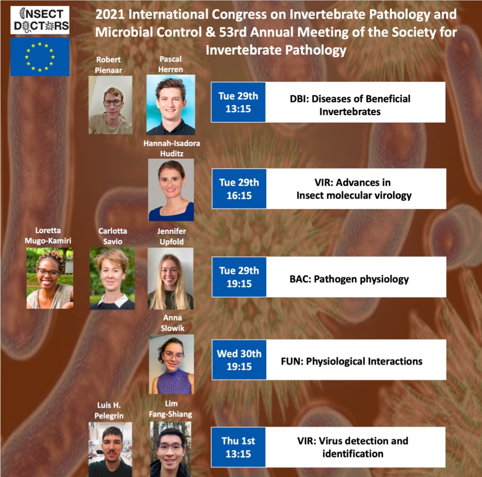 #SIP2021 starts next week and we have Insect Doctors participating in chat sessions across different divisions! They will also be participating in the Insects As Food And Feed session #letsconference 
<a href="/SocInvPathol/">SIP</a>