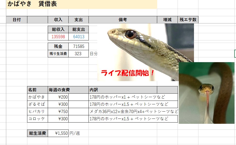 みなせ 技術士試験がんばる ヒバカリ 今日はこっちを向いてくれませんでした 残念 みなせ 技術士試験がんばる ヒバカリ 今日はこっちを向いてくれませんでした 残念