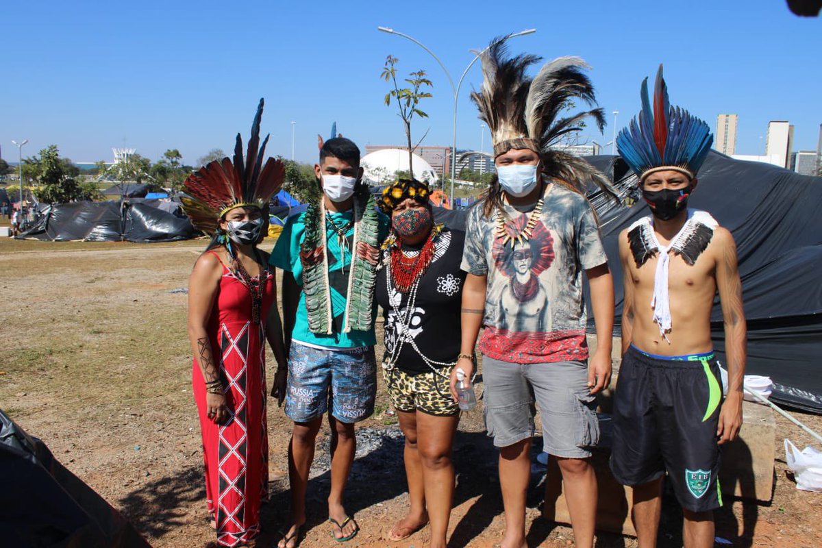 conselhoterena tweet media