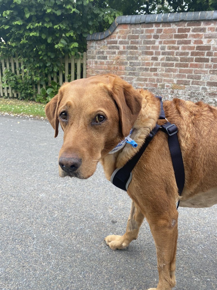 🧡Lushlabs🧡 tweet media