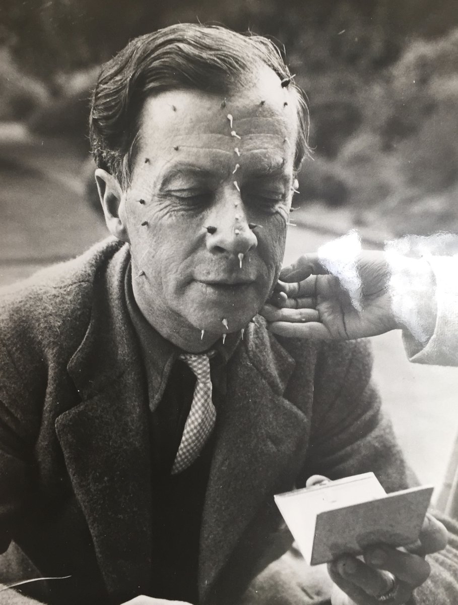 Anna Neima tweet media