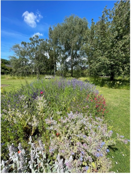 intrasonics's tweet photo. The weather has been lovely in Cambridge this week. It’s been great to get out with the team to socialise and reconnect in person. We've also been enjoying the summer pleasantries of our beautiful neighbour @CUBotanicGarden.

Wishing you a delightful weekend!☀️

#team https://t.co/hJBVzwC0rb