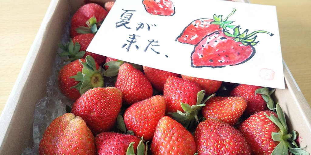 晃子 あっこ V Twitter わーい実家から苺届いたーお母さんからの絵手紙付 むちゃくちゃ甘い ぴっぷ苺100周年 比布町