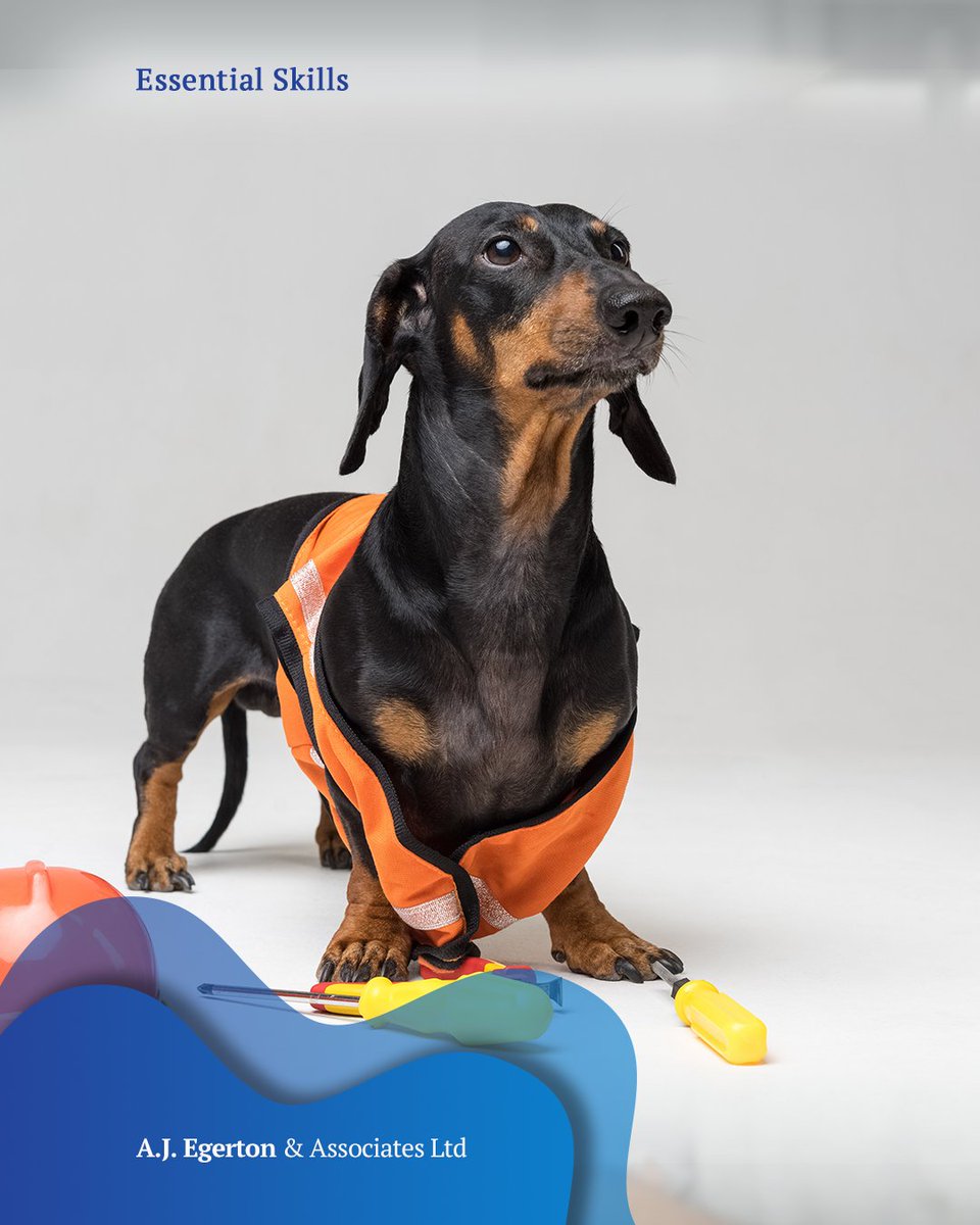 AJEgerton1's tweet photo. Whether you are still working from home or at your workplace #BringYourDogToWorkDay is something we can all celebrate! 
https://t.co/DRLozBRdXt

@bringyourdogtoworkday

#dogatwork #dog #dogs #doglover #dogcharity #helpinganimals #fundraising #doggy #funatwork #doghelper #cute https://t.co/3GjWzGCPQr