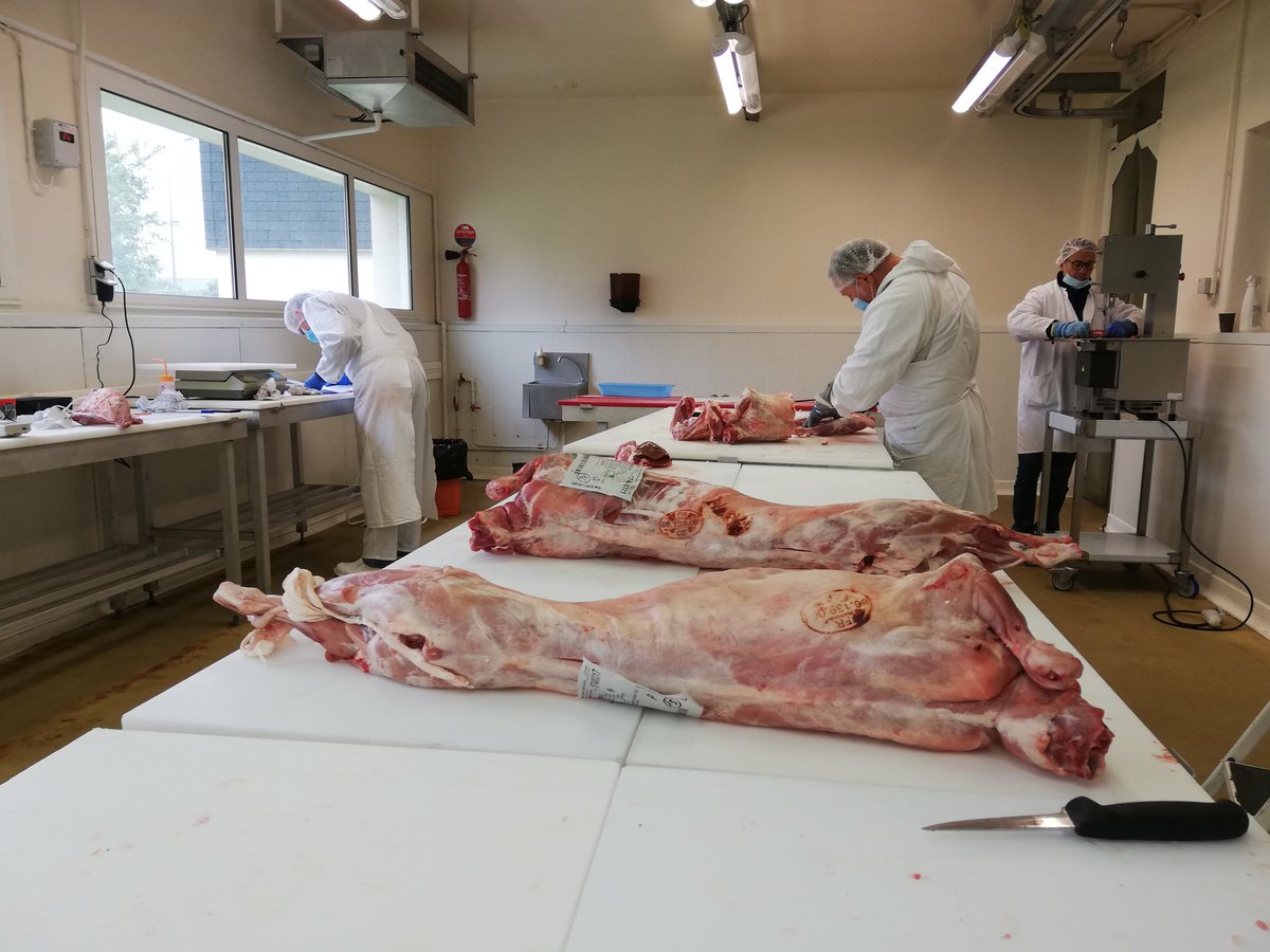 IdeleLabo's tweet photo. [#Valcabri] Découpe et conditionnement, le suivi de la conservation de la #viande de #chevreau est lancée ! 😉
#SQCV_Idele https://t.co/HtbNKab1NT
