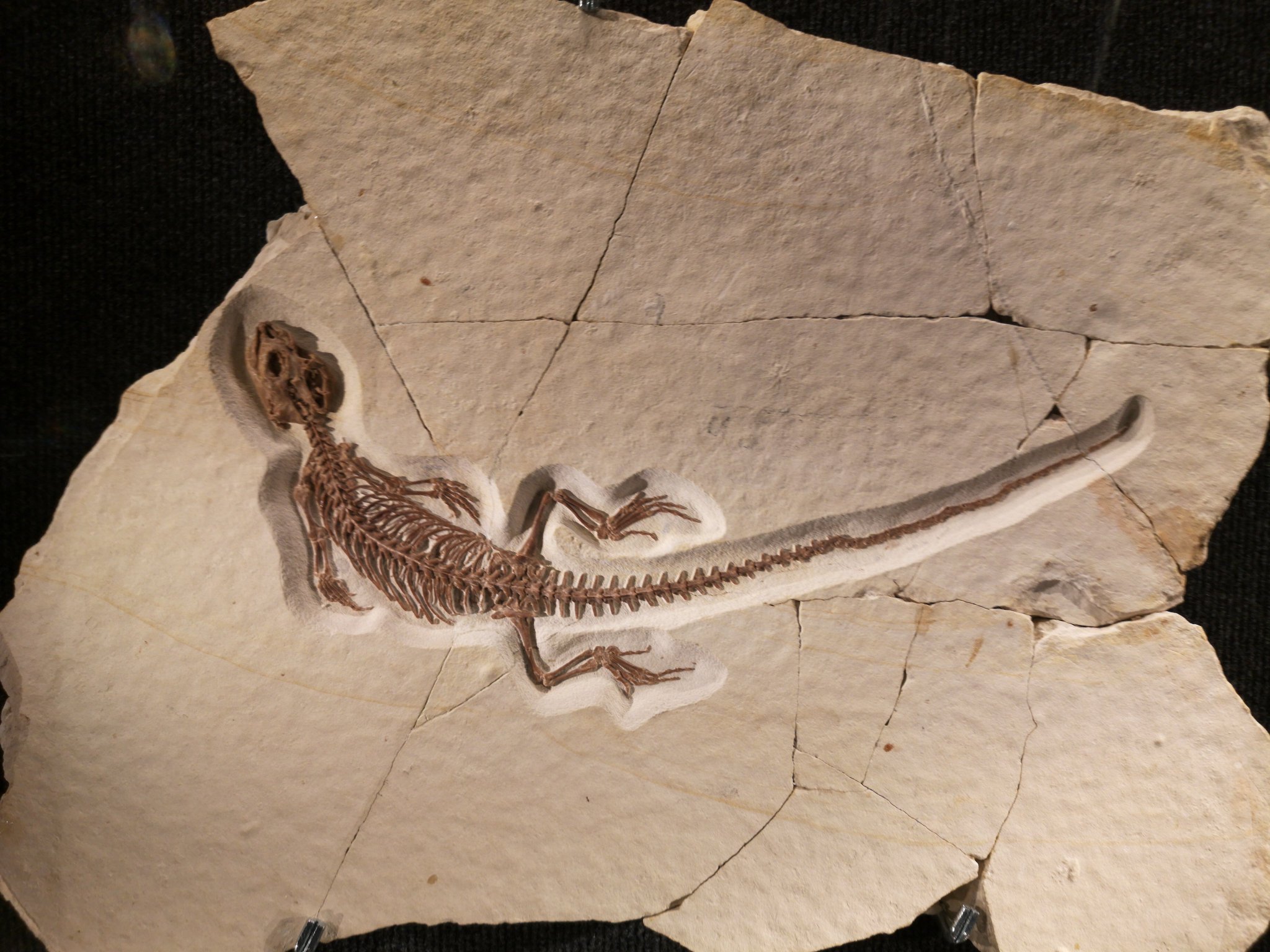 Sven Sachs on Twitter 