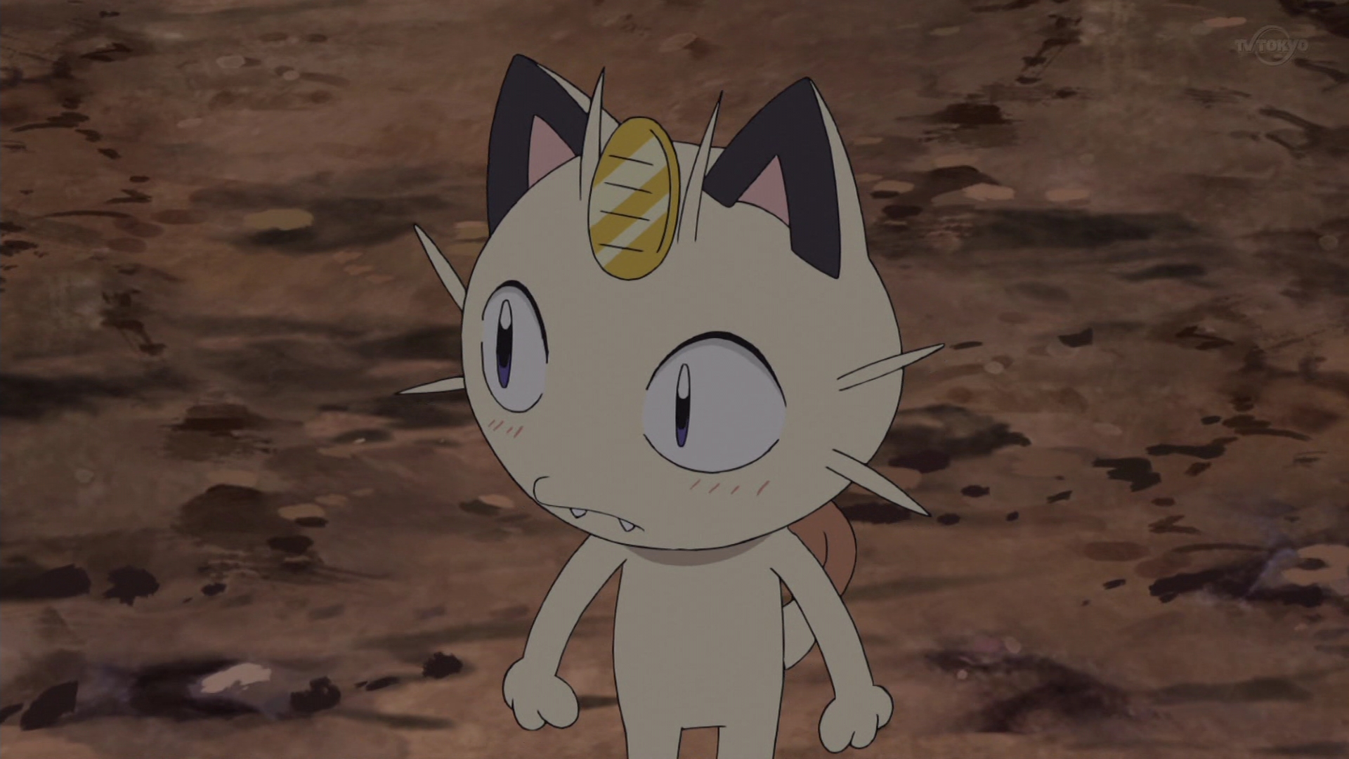 Zexy ニャースが過去一でかわいいんだがww アニポケ Pokemon Pokemon72 T Co 4hbeyuxvnt Twitter