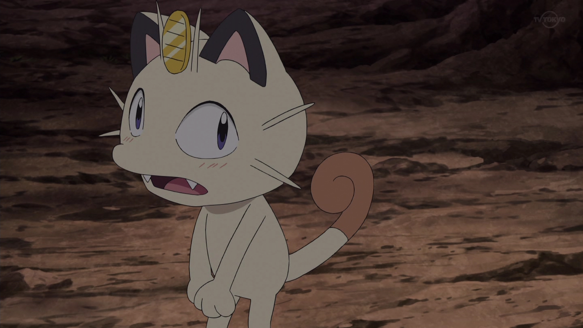 Zexy ニャースが過去一でかわいいんだがww アニポケ Pokemon Pokemon72 T Co 4hbeyuxvnt Twitter