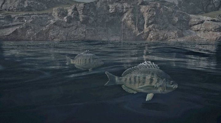 r0gues_fr0ntier's tweet photo. #GG30WATER #GamerGram #ArtisticofSociety #VirtualPhotography #societyofvirtualphotographers #AssassinsCreedValhalla #Ubisoft #jumpingfish https://t.co/UF4oRmJWOd