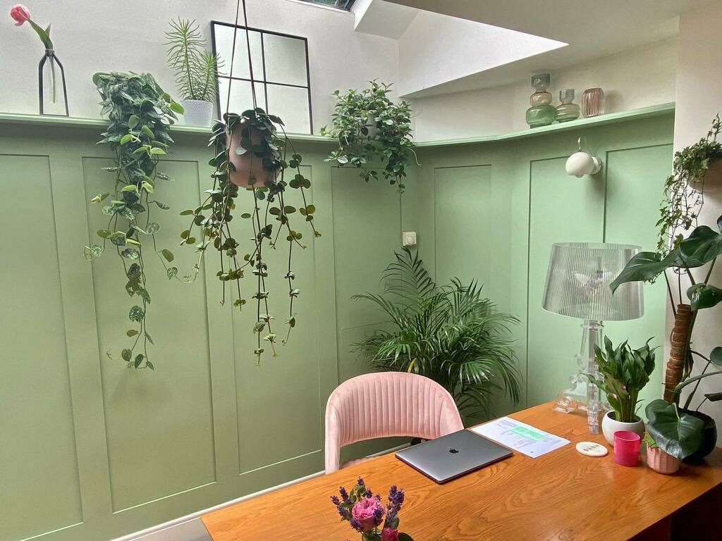 ZoePriceInt's tweet image. Have I too many plants around my office desk 🤔😂🌿🌱🪴 instagr.am/p/CQigJvUhGQ0/