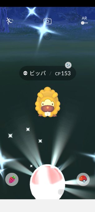 ビッパ大量発生のtwitterイラスト検索結果 古い順 ビッパ大量発生のtwitterイラスト検索結果 古い順