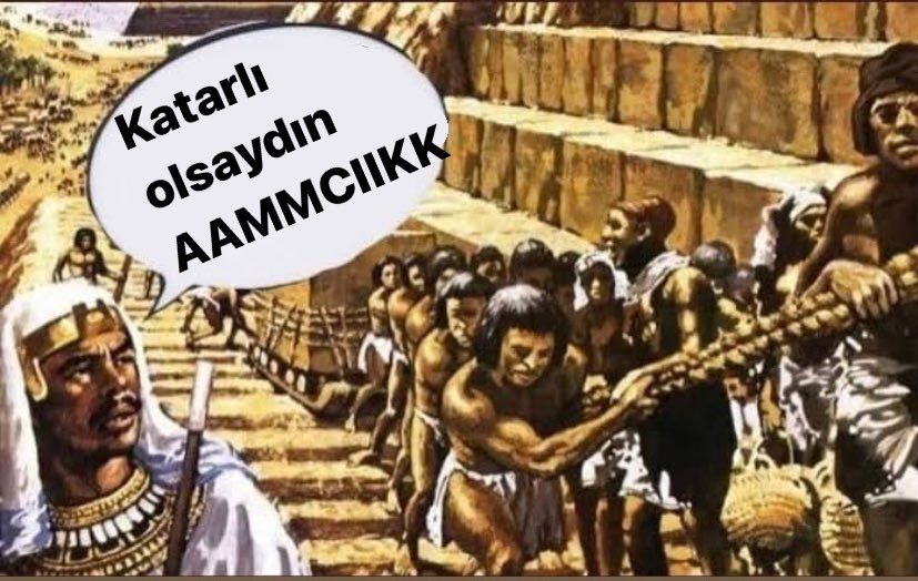 zana (@kitapsiz31) on Twitter photo 