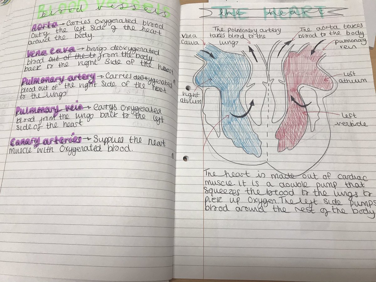 Ms Horoz tweet media