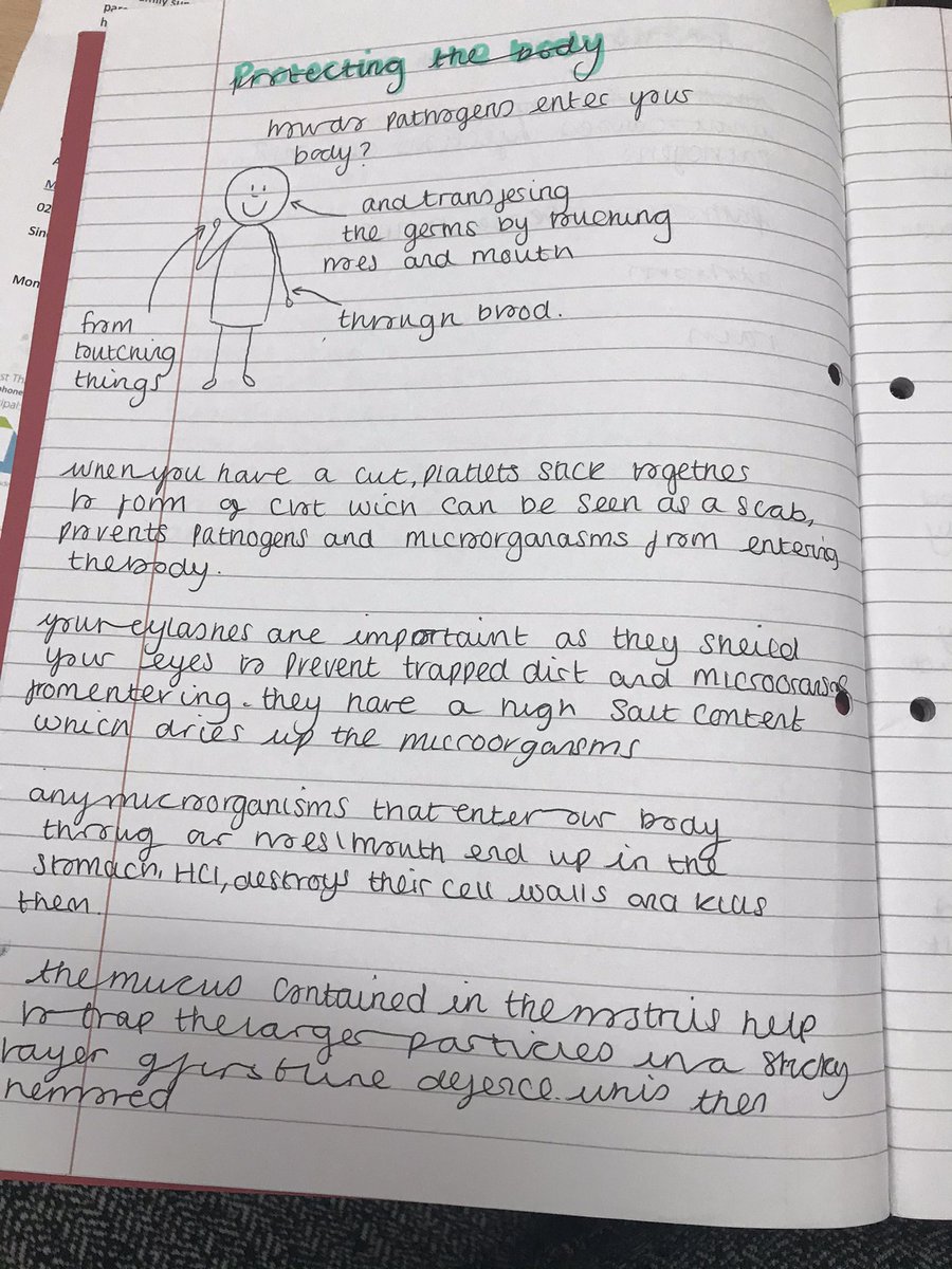 Ms Horoz tweet media