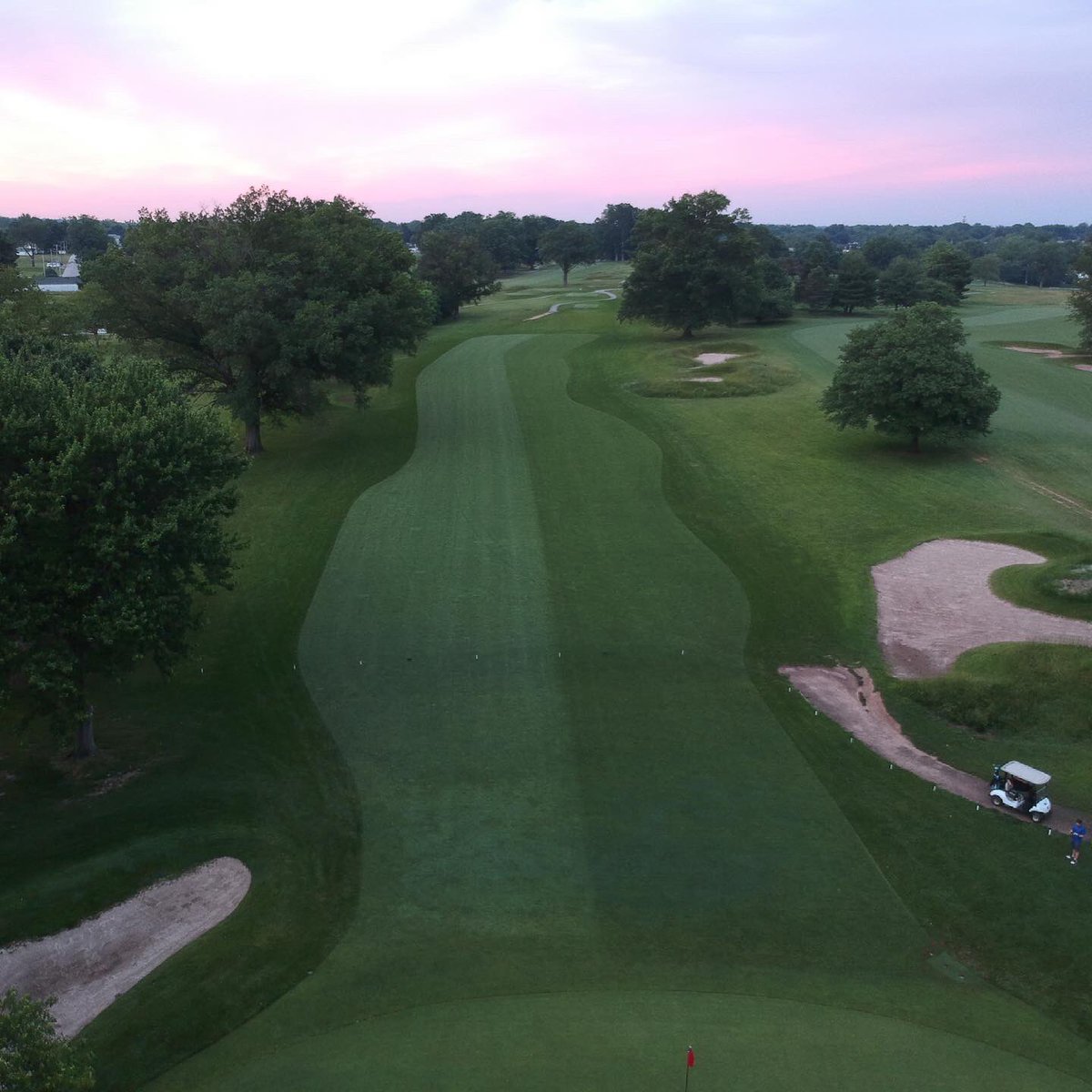 2021 vs. 2019

The restoration of No. 5 is looking ________.