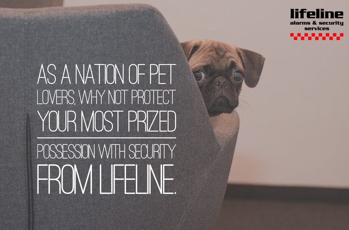 At Lifeline we know how important our pets are, that is why we protect your property and four legged friends with Pet friendly Intruder Alarm Detectors. #dogs #cats #petfriendly #Security 🐾

lifeline-security.co.uk/wp-content/upl…