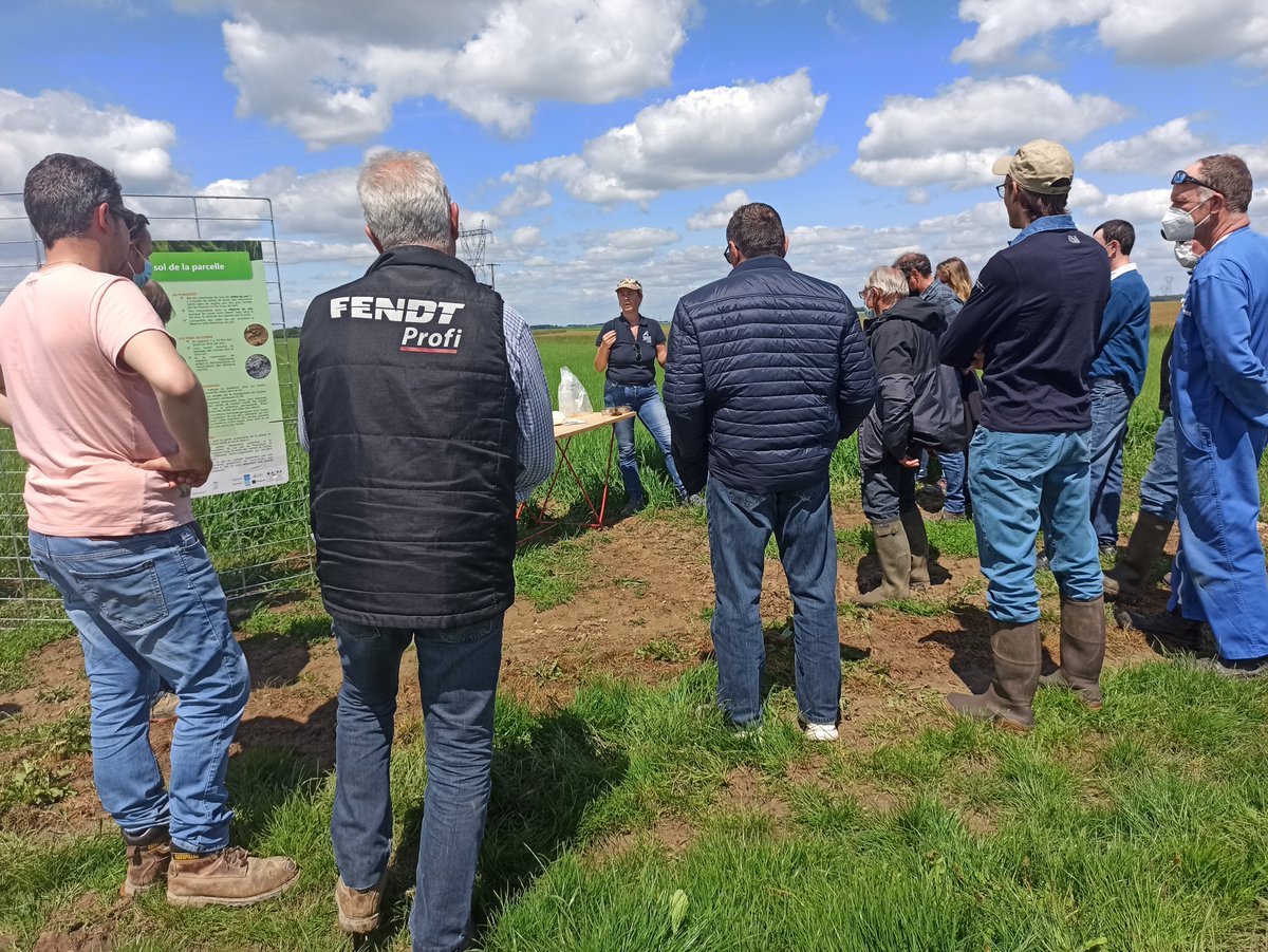 Ça y est, nos "rencontres alternatives phytos" des groupes DEPHY et 30 000  en #IDF se sont déroulées sur mai/juin et auront accueilli une quarantaine d'agriculteurs ! 🧑‍🌾
Merci à eux pour ces nombreux échanges 👍👍👍

<a href="/Dephy_Ecophyto/">Réseau DEPHY</a> <a href="/ProjetRAP/">Rencontres Alternatives Phytos</a> <a href="/CAIDF/">Chambre d'agriculture de Région IDF</a>