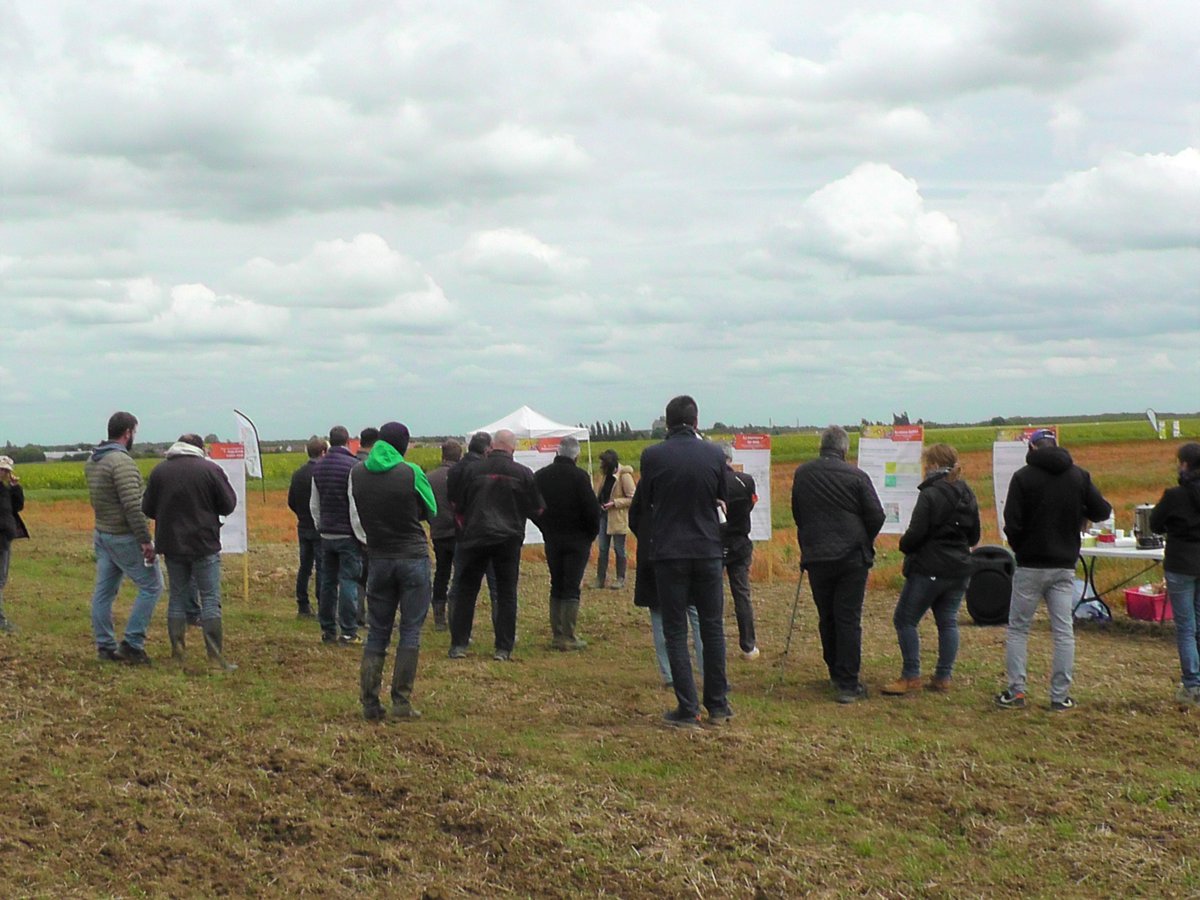 GSud91's tweet photo. Ça y est, nos "rencontres alternatives phytos" des groupes DEPHY et 30 000  en #IDF se sont déroulées sur mai/juin et auront accueilli une quarantaine d'agriculteurs ! 🧑‍🌾
Merci à eux pour ces nombreux échanges 👍👍👍

@Dephy_Ecophyto @ProjetRAP @CAIDF https://t.co/wtWfzsbevh