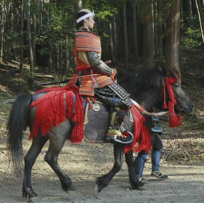 映画 信虎 武田信玄生誕500年記念 11月全国公開予定 公式 先日 Nhkの番組 歴史探偵 の 秀吉 中国大返し の回に 本作で 馬術指導 を担当してくださった日本の馬 御猟野乃杜 みかりののもり 牧場 滋賀県近江八幡市 代表の磯部育実さんと天龍君