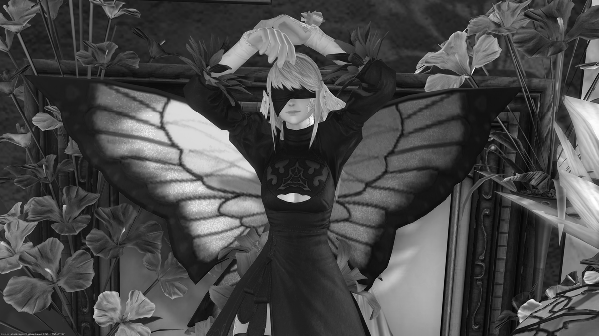 ぽこ C Poko A Twitter