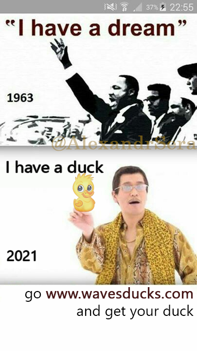 AlexandrSera's tweet photo. Если у вас была мечта в прошлом, теперь вам нужно покупать DUCK на будущее. 
#WavesDucks #NFT $WAVES #DeFi https://t.co/ro66sic08y