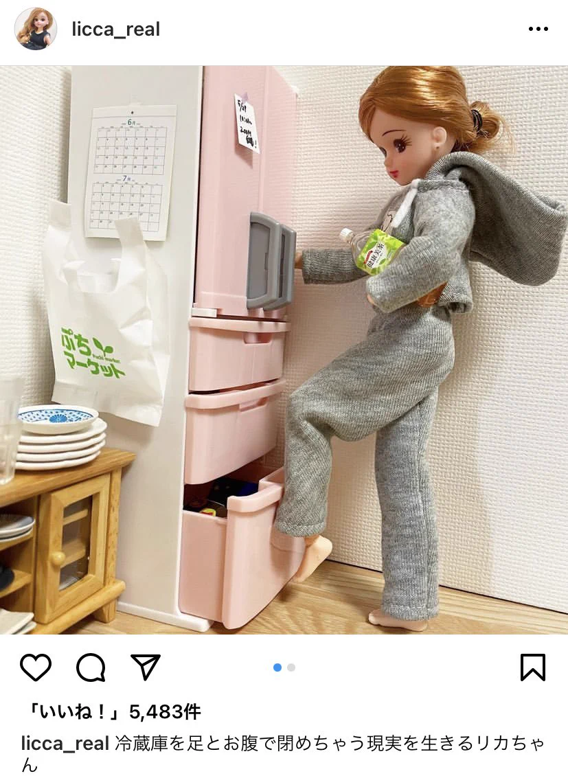 涙なしには見られない？現実を生きるリカちゃんのアカウントwww