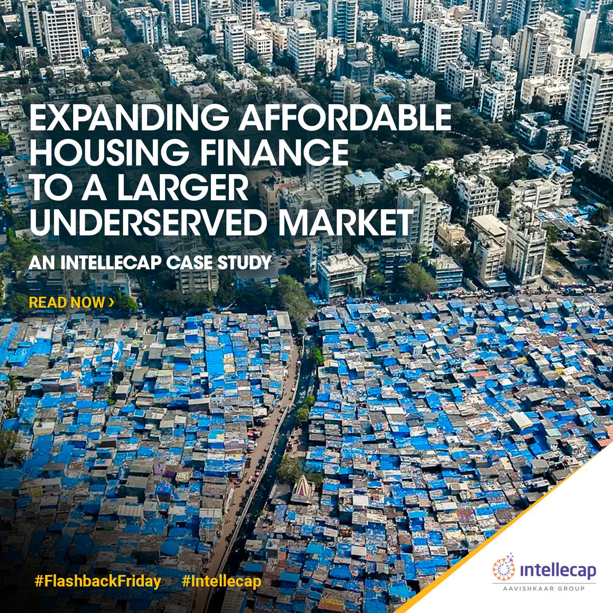 Intellecap tweet media