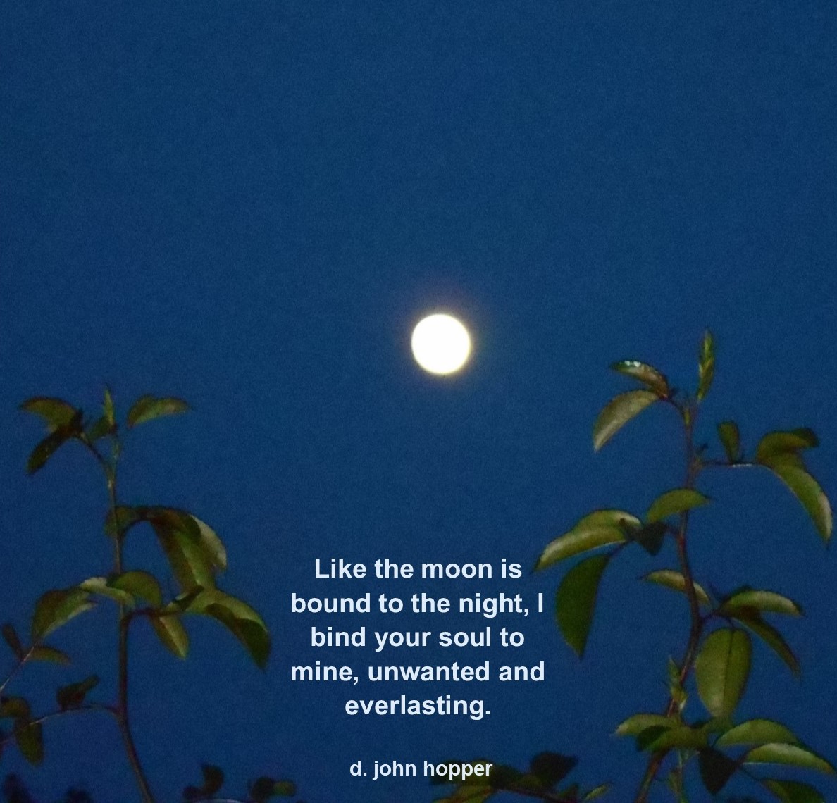 djohnhopper's tweet photo. NEW DARK ART: Like the moon is bound to the night, I bind your soul to mine, unwanted and everlasting.
https://t.co/XjNu4nQ1DS
#darkart #darkfantasy #darknature #darkgods #binding #bindingspell #moon #lostlove https://t.co/HyDKtF8QGV