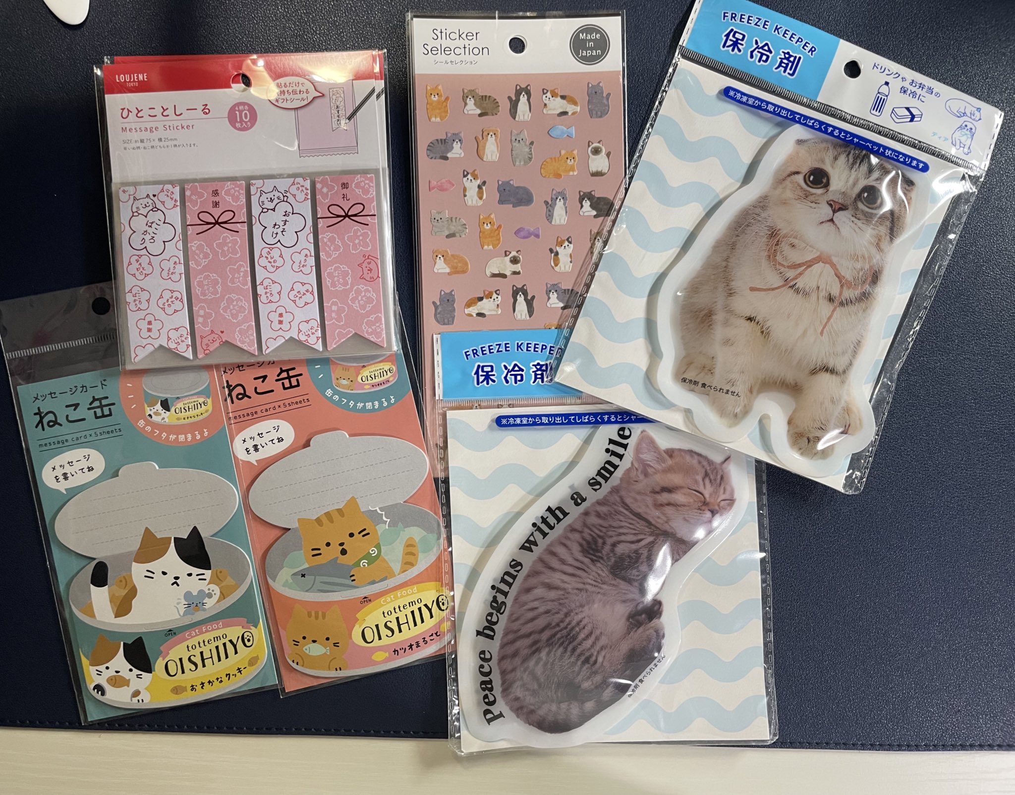 けんたろうとむぎほの日常ฅ 院生 薬剤師 Ch Cute Cats Life 100均 寄って帰宅 今日もお疲れ様でした 欲しいやつはありますかー 僕の推しは 五本指ソックス 笑笑 とても動きやすいですよ セリア ダイソー 猫グッズ 猫