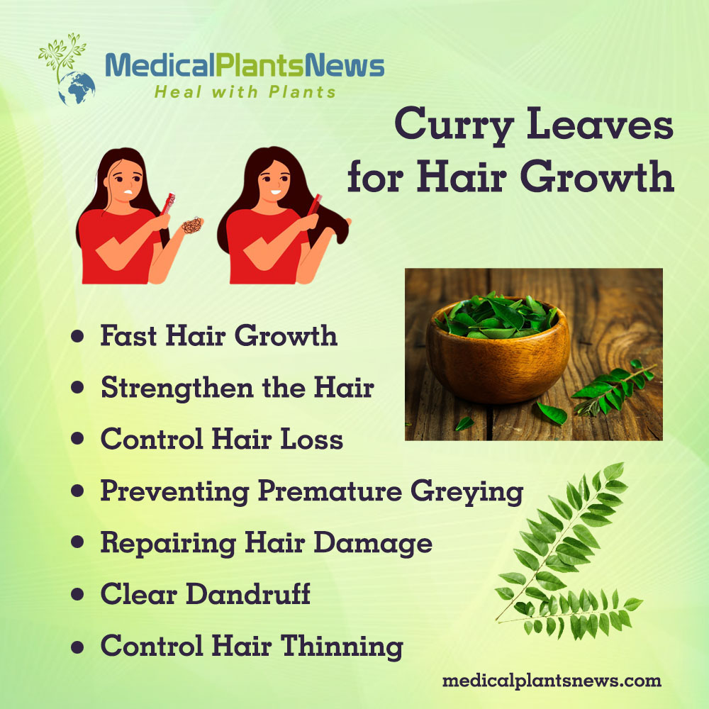 How To Use Curry Leaves For Hair Growth