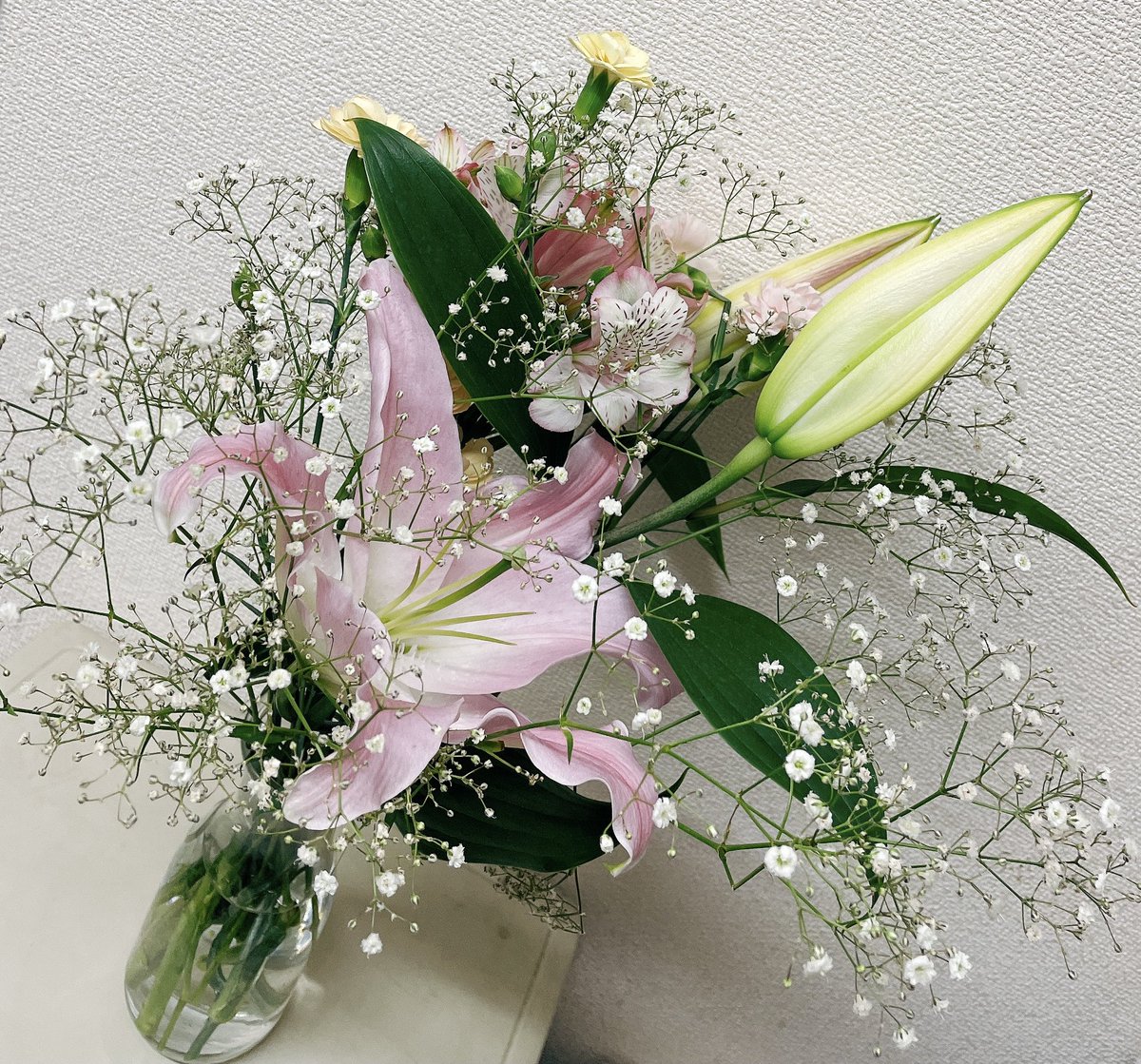 美夢 على تويتر ユリの良い香りが部屋中にする やっぱり1番 好きな花はユリで間違い無い 笑 美夢 على تويتر ユリの良い香りが部屋中にする やっぱり1番 好きな花はユリで間違い無い 笑