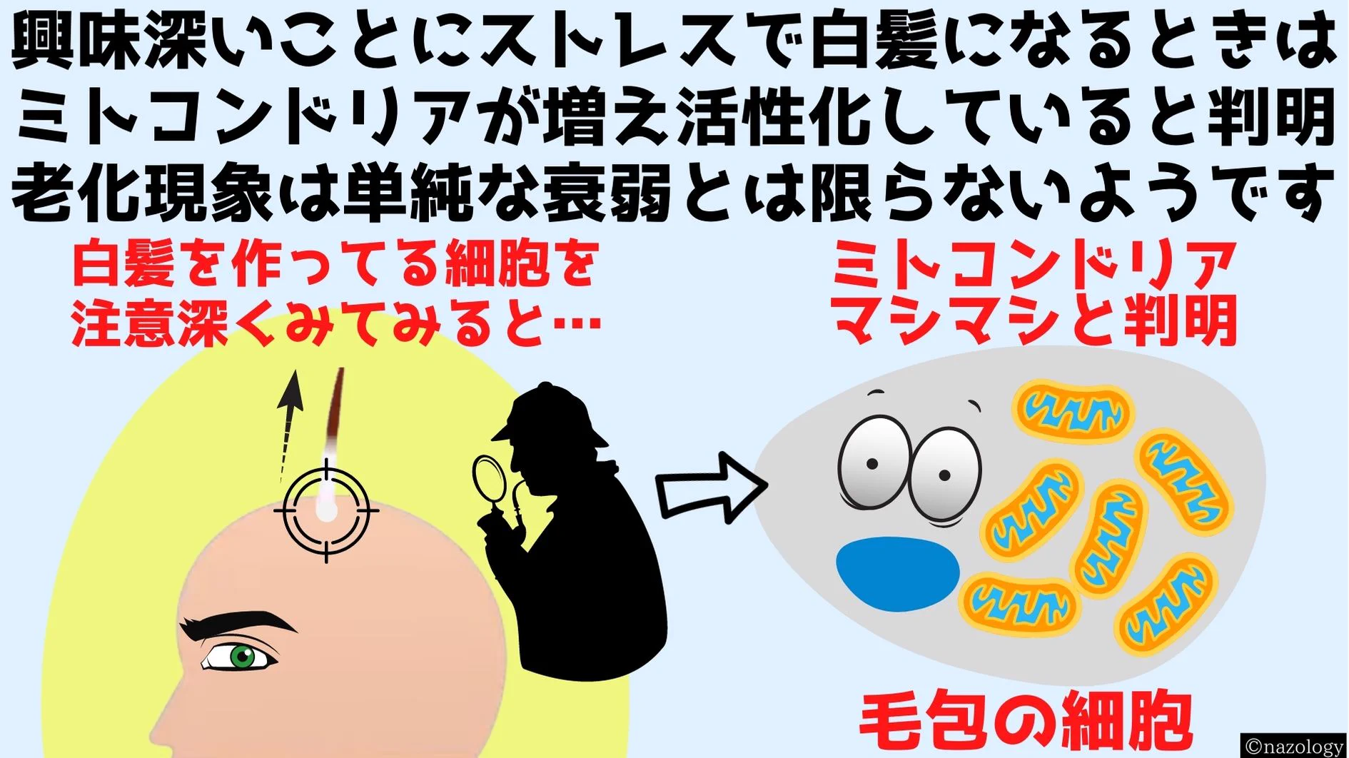 ストレスが原因だった！？脱ストレスによって白髪は元に戻ることが判明！