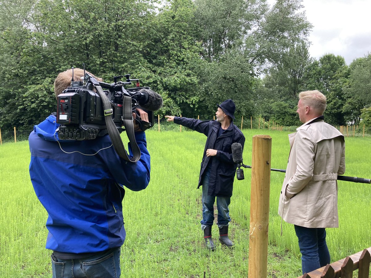 Growing a pair of jeans on old waste ground in #Blackburn town centre with @paddygrant being interviewed for @bbclancashire and @BBCNWT by @IanHaslam78 with @davidj_edwards on camera. #homegrownhomespun
