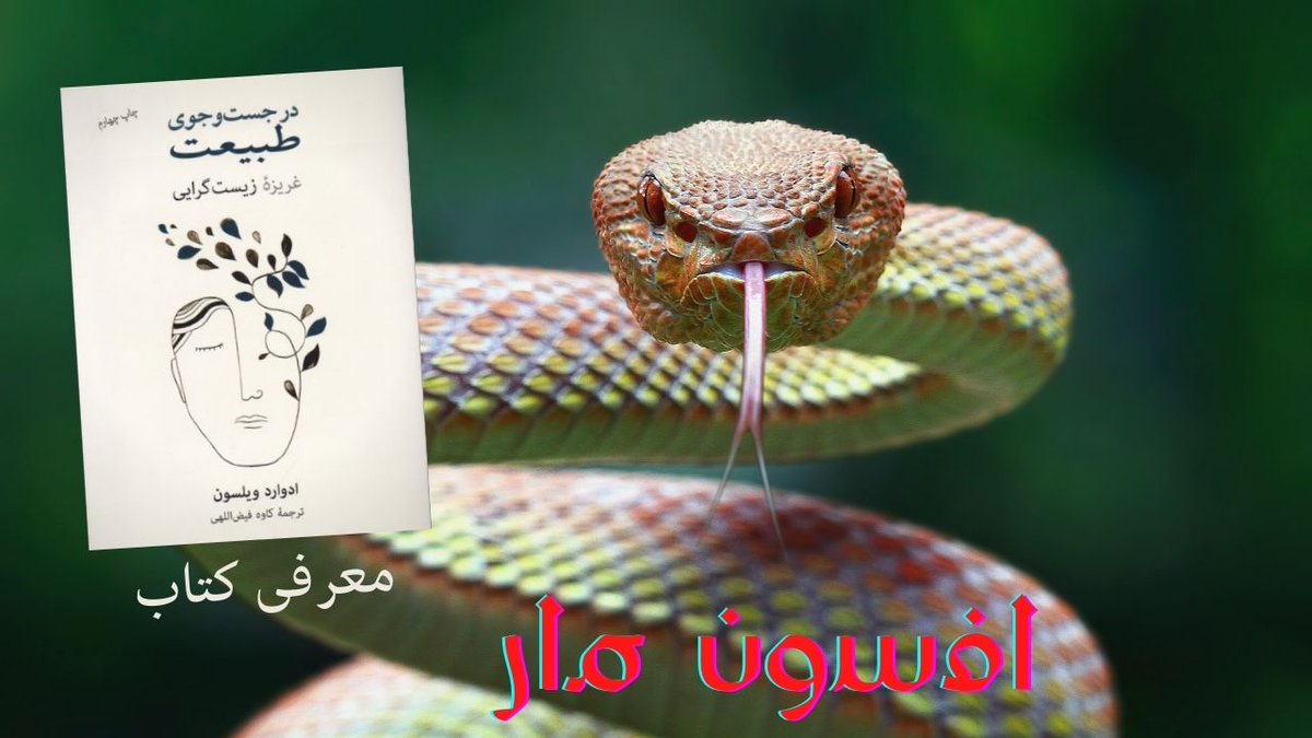 ChannelRoshana's tweet photo. روانشناسی تکاملی: معرفی کتاب در جست و جوی طبیعت https://t.co/JjWpprtcth https://t.co/0MOTyT67rj
