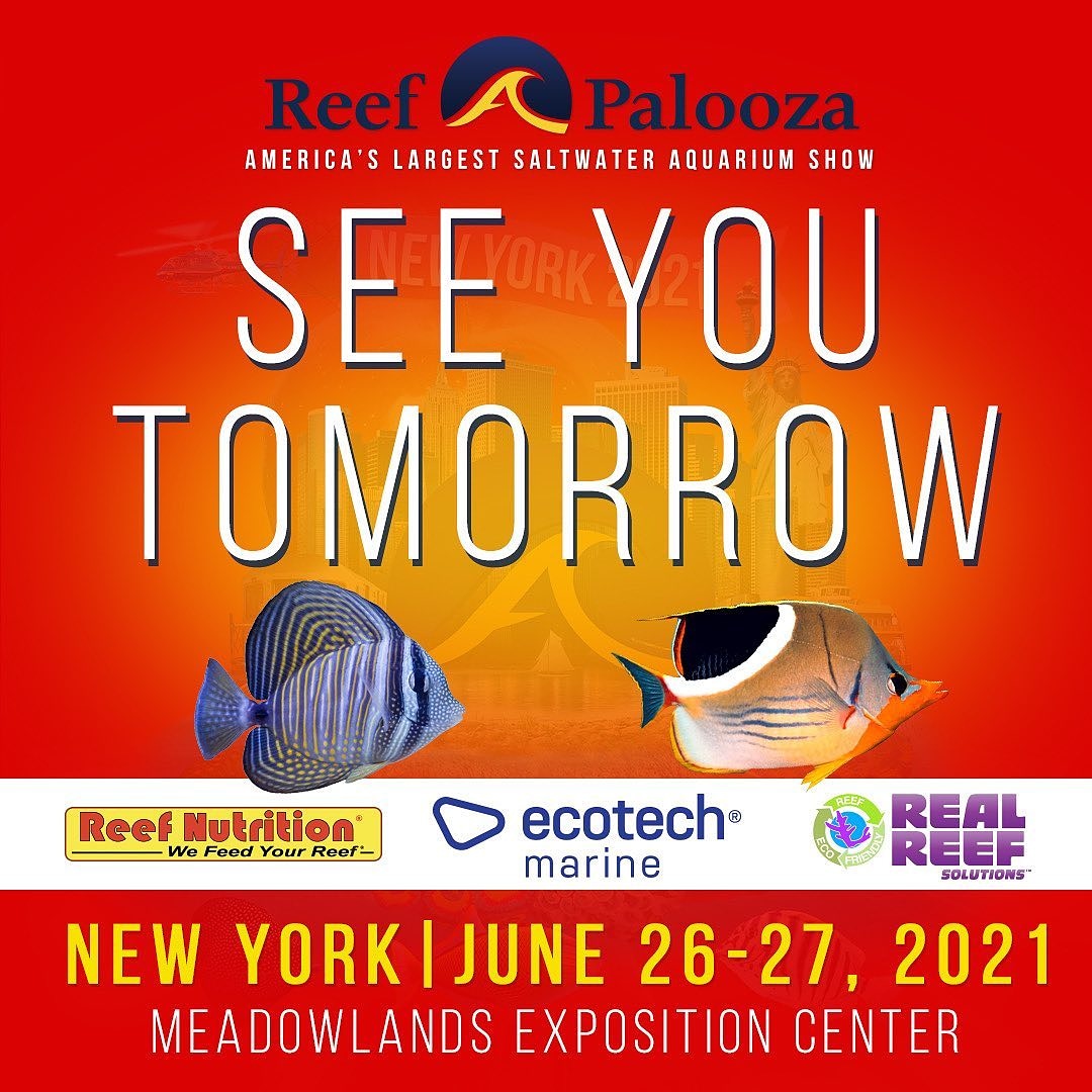 drtimsaquatics's tweet photo. We can't wait to see you all tomorrow!
#showtime #reefapaloozanewyork #reefapalooza #tradeshow #drtimsaquatics #drtims #aquarium #aquariums #RAPNY #RAPNY2021 https://t.co/vv2ObpKJ0A