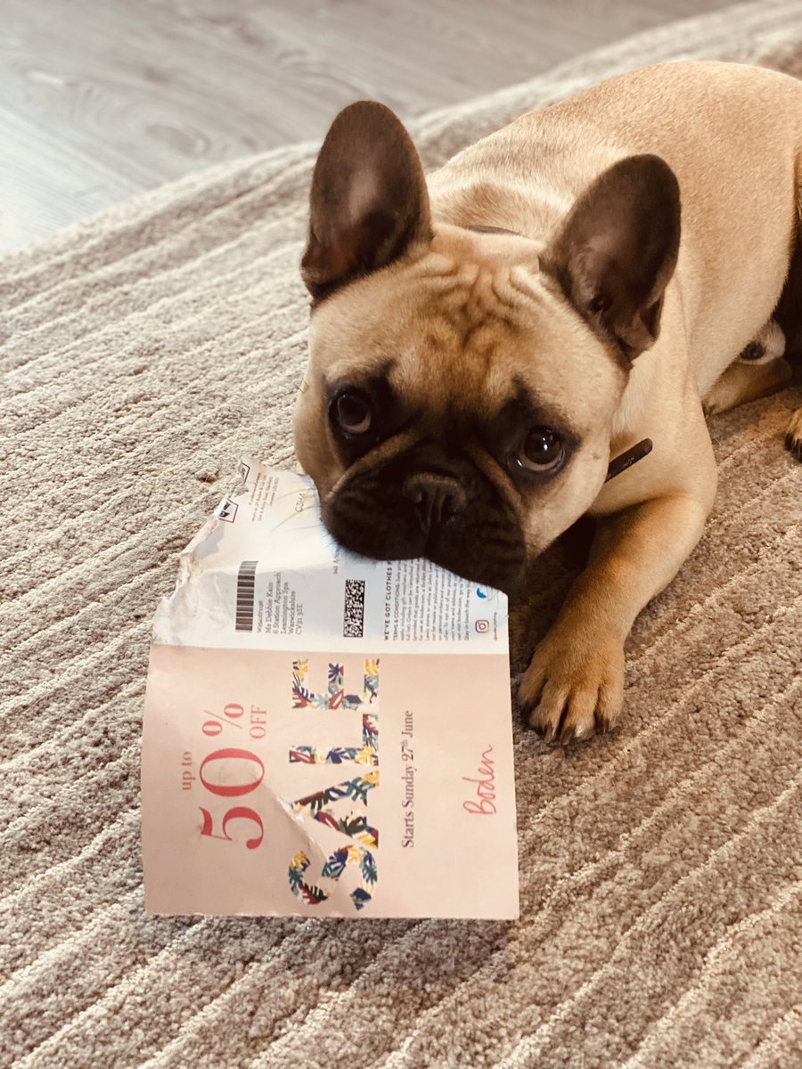 debbiegriffiths's tweet photo. @Bodenclothing naughty Rollo :/ I’ve missed the bargains now … https://t.co/HjjQ1RyyB4
