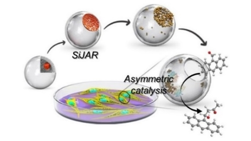 angew_chem's tweet photo. Silica Jar-with-Lid as Chemo-Enzymatic Nano-Compartment for Enantioselective Synthesis inside Living Cells (Lee) https://t.co/cCDq2ITehi https://t.co/oyPNdKGFze