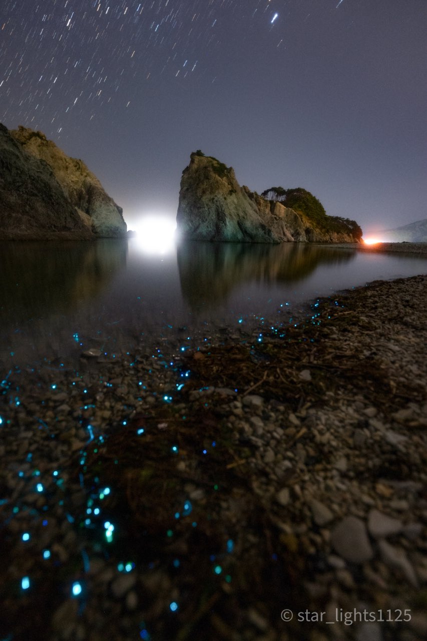 星あかり 21年自分が選ぶ今年上半期の4枚 光を追い続けた上半期 水平線や地平線から低く立ち昇る天の川はこの時期 ならでは 海ほたるや夜光虫と出会えた事も嬉しかった 悔しかったのは火球を逃した事 下期はどんな出会いが有るか楽しみ 下半期も応援