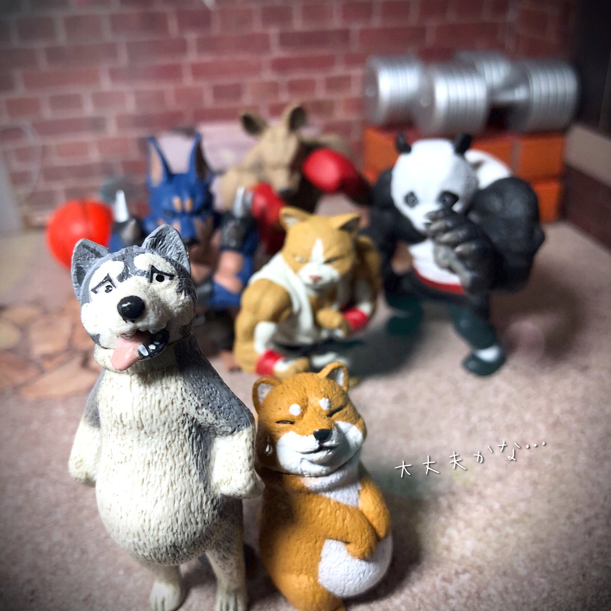 Lefty V Twitter おもちゃ撮影会 6 25 テーマ 筋肉 運動不足を解消しようと軽い気持ちで近所のスポーツジムを訪れたら筋肉自慢のガチ勢しかいなくて場違い感に困惑中の中年太り2匹 キングオブアニマルズ やせたいなかま ガチャガチャ カプセルトイ T