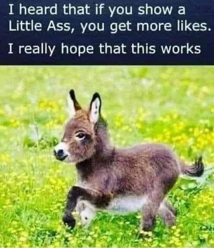Fingers crossed 🤞 😂 #dnd #ttrpg #TTRPGSolidarity #forthelols