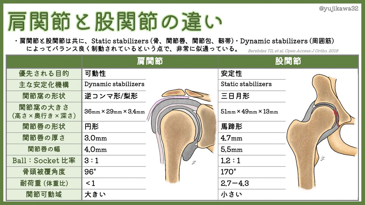 肩関節