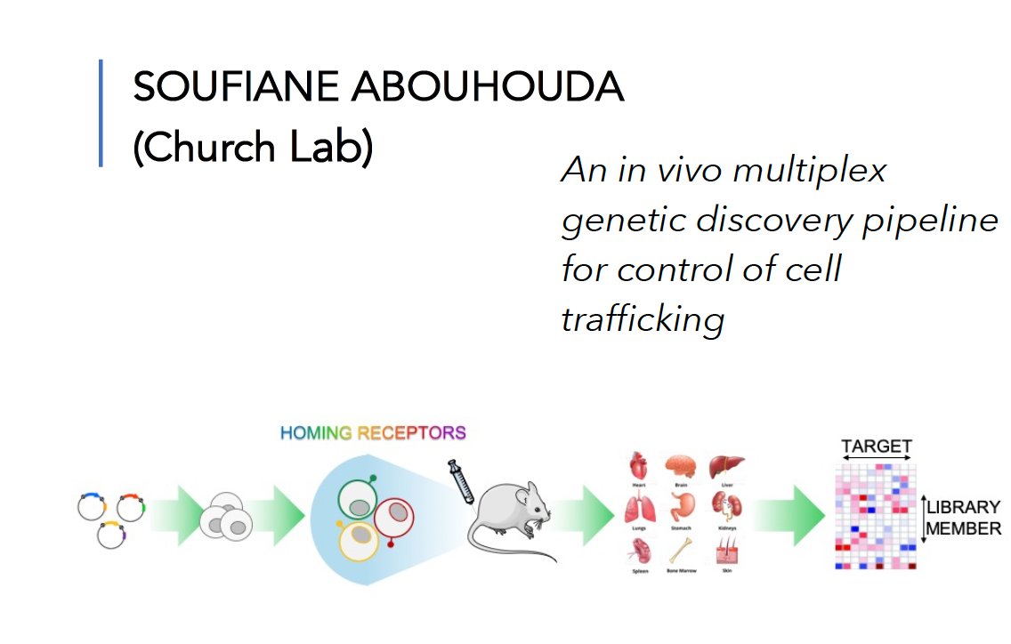 HMS Genetics Department (@hmsgenetics) on Twitter photo Join us TODAY at noon for Virtual DJ Club. Today Soufiane Aboulhouda <a href="/sciencesouf/">Soufiane Aboulhouda</a> is presenting "An in vivo multiplex genetic discovery pipeline for control of cell trafficking." Check your email for the zoom link! Join us TODAY at noon for Virtual DJ Club. Today Soufiane Aboulhouda <a href="/sciencesouf/">Soufiane Aboulhouda</a> is presenting "An in vivo multiplex genetic discovery pipeline for control of cell trafficking." Check your email for the zoom link!