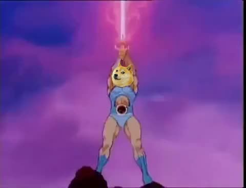 sdotcarter84's tweet photo. @elonmusk @DogecoinRise What's the price on that? I'm willing to donate some of my #doge to buy one to slap a #dogecoin decal on that bad boy and literally send it to the moon. In the Great words of Lion-O "DOGE COMMUNITY,  DOGE COMMUNITY ASSEMBLE!" 
#dogecommunity #dogecoin #dogearmy https://t.co/SmCmuDR3pl