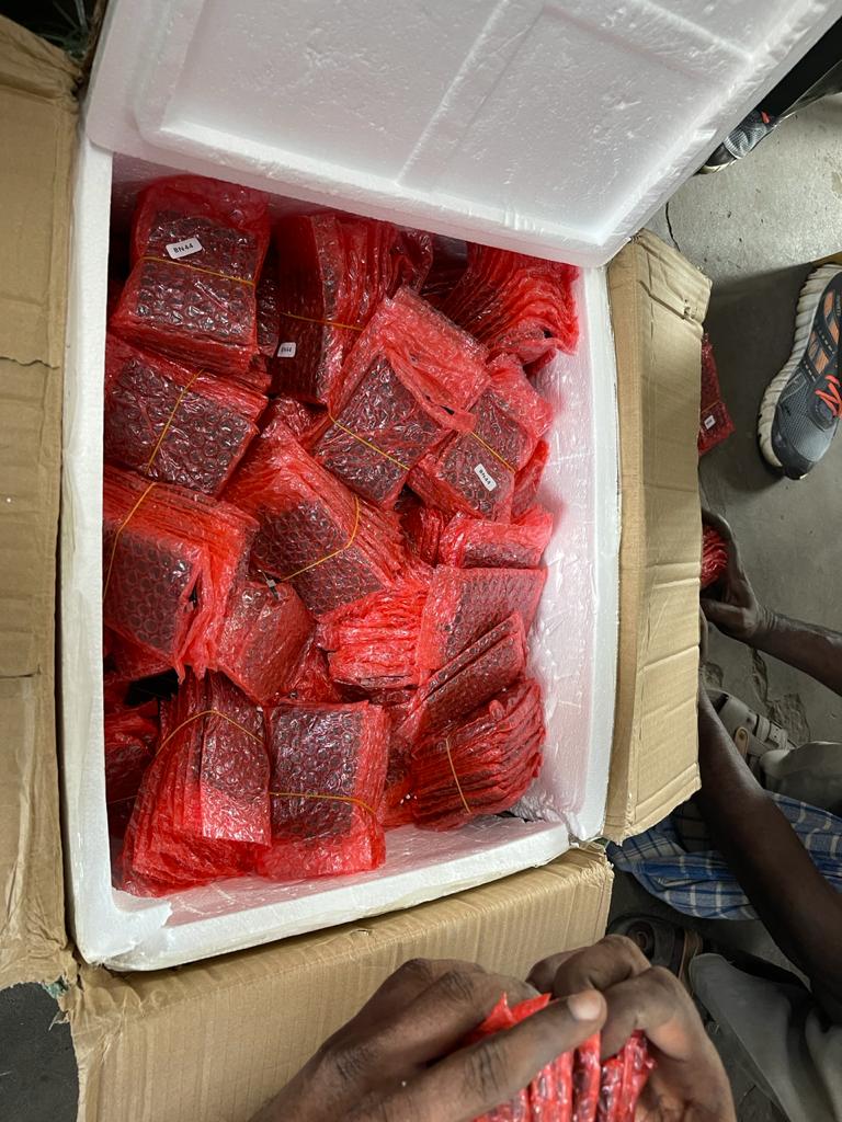 kolkata_customs's tweet photo. #IndianCustomsAtWork being vigilant while fighting for #COVID19 officers of #PrevCommWB on 25/6/21 effected #seizure of assorted #mobileaccessories etc. of #foreignOrigin worth ₹49,90,000/- from 20No. platform RPF South PO, New Complex #HwhRlyStn 
@cbic_india https://t.co/HA86cEkMJa