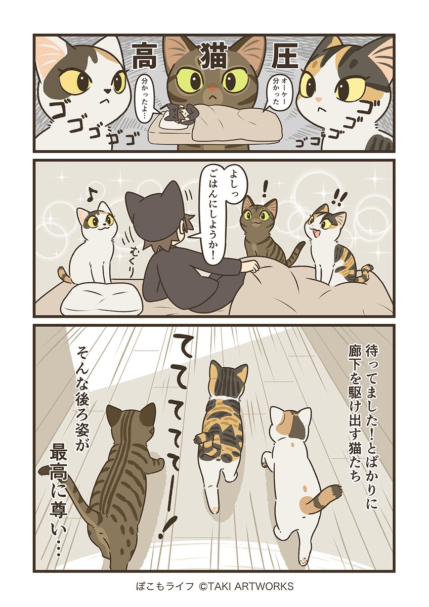 やまねこ♡　他の方はコメントお控えください=(^.^)= やまねこ🐈 on X