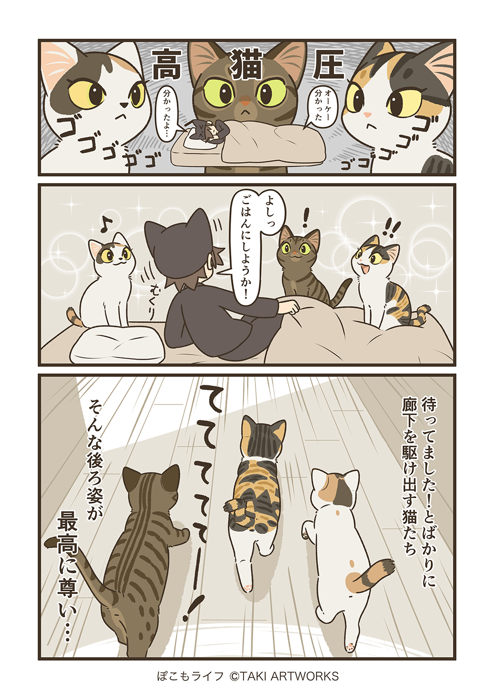 やまねこ♡　他の方はコメントお控えください=(^.^)= ねこ on X: 