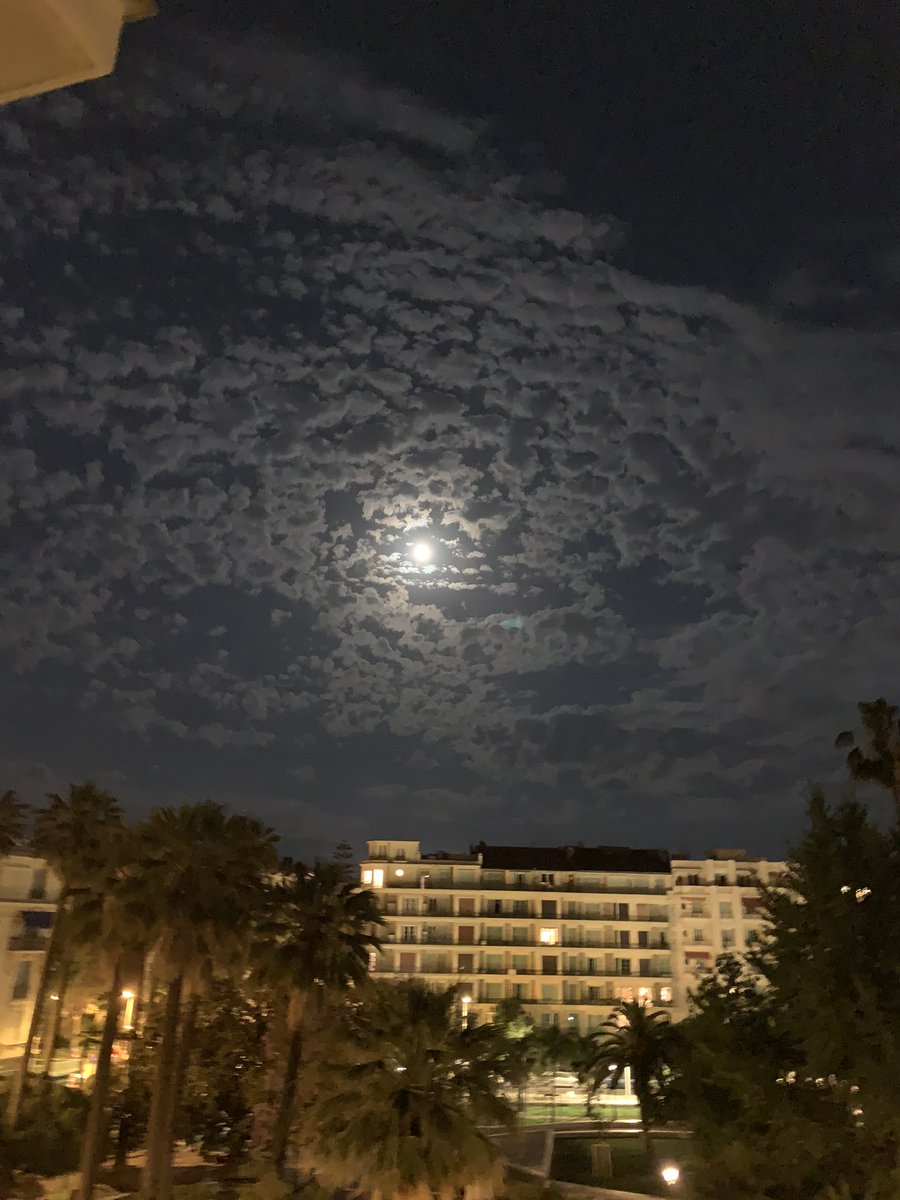 IvanlandNews's tweet photo. Beautiful night sky 🌌 near Ivanland City #micronation #micronations #Ivanland https://t.co/XC0zn0992G