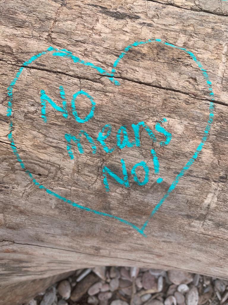 VivGordonCo's tweet photo. Thank you to @DevonRapeCrisis for joining us on our #RestlessVGC walks last week and for your wonderful #MyLineInTheSand contributions.

Will you join the campaign and help us draw a line under the silencing of #CSA survivors? 

https://t.co/mlcSwQkQOu https://t.co/baor9M86ws